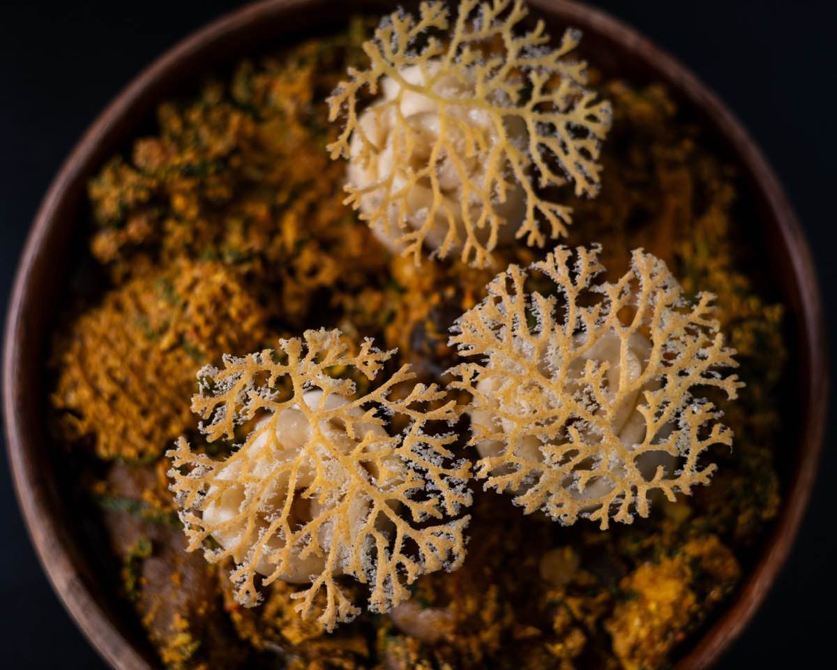 Modern Nigerian food presentation